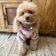 Felpa Viareggio | Abbigliamento per Barboncino