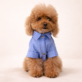 Camicia Procida | Abbigliamento per Barboncini