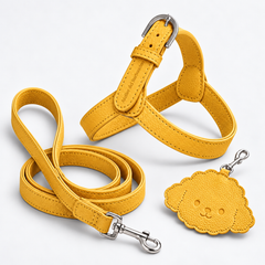 Kit Pettorina e Guinzaglio in pelle + Porta Sacchetti
