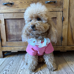 Felpetta Wavy | Abbigliamento per Barboncino