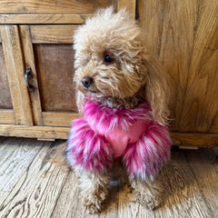 Felpa Piume | Abbigliamento per Barboncino