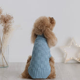 Maglioncino "Coccole" di Cotone | Abbigliamento per Barboncini