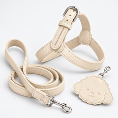Kit Pettorina e Guinzaglio in pelle + Porta Sacchetti