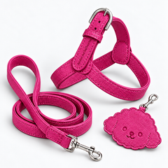 Kit Pettorina e Guinzaglio in pelle + Porta Sacchetti