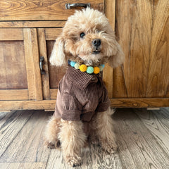 Camicia di Velluto | Eleganza e Confort per Barboncini