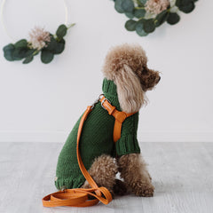 Combo Pettorina e Guinzaglio Siena in pelle Arancione - Eleganza Artigianale Made in Italy