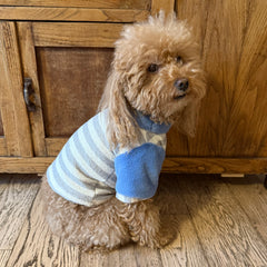 Felpa Viareggio | Abbigliamento per Barboncino