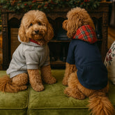 Felpa Premium – | Abbigliamento per Barboncini