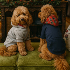 Felpa Premium – | Abbigliamento per Barboncini