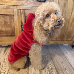 Red Passion – Pelliccia Ecologica con Cappuccio per Barboncini