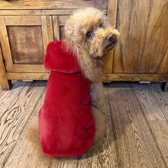 Red Passion – Pelliccia Ecologica con Cappuccio per Barboncini