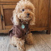 Felpa di Velluto a Costine – | Abbigliamento per Barboncini