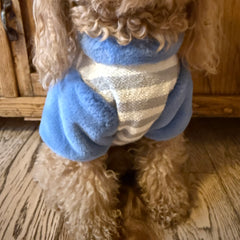 Felpa Viareggio | Abbigliamento per Barboncino