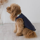 Piumino Royal Navy | Extra Light