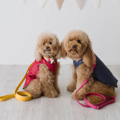 Piumino Royal Navy | Extra Light