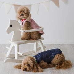 Piumino Royal Navy | Extra Light