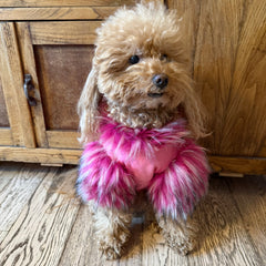 Felpa Piume | Abbigliamento per Barboncino