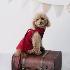 "Gregory" Cappotto Casentino | Eleganza e Confort | Abbigliamento per Barboncini