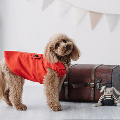 "Audry" Cappotto Casentino | Eleganza e Confort Made in Italy | Abbigliamento per Barboncini