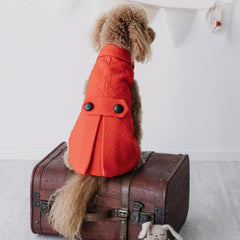 "Audry" Cappotto Casentino | Eleganza e Confort Made in Italy | Abbigliamento per Barboncini