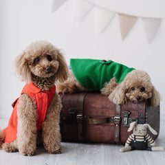 "Grace" Cappotto Casentino | Eleganza e Confort | Abbigliamento per Barboncini