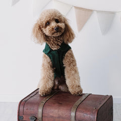 "Humphrey" Cappotto Casentino | Eleganza e Confort Made in Italy