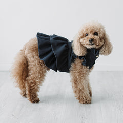 Milano Rouches - Cappottino Sartoriale per Barboncini | Abbigliamento per cani