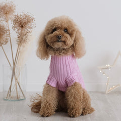 Maglioncino "Coccole" di Cotone | Vari Colori per Cani di Taglia Piccola