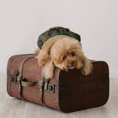 Cappotto Liverpool in Tartan | per Barboncini