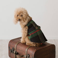 Cappotto Liverpool in Tartan | per Barboncini