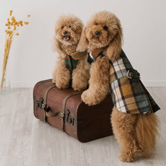 Cappotto Cambridge in Tartan| per Barboncini