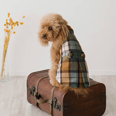 Cappotto Cambridge in Tartan| per Barboncini