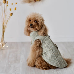 Theodore - Tweed Coat