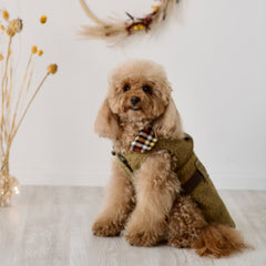 Terence - Tweed Coat