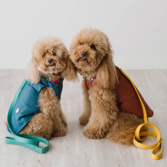 Piumino Hampstead Caramel | Extra Light