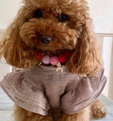 Maglia Medusa | Abbigliamento per Barboncino