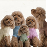 Maglioncino "Coccole" di Cotone | Vari Colori per Cani di Taglia Piccola