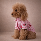 Camicia Positano Rosa | Abbigliamento per Barboncini