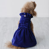 Velvet Charme | Cappottino di Velluto Blu con Fiocco | Abbigliamento per Barboncini