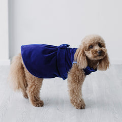 Velvet Charme | Cappottino di Velluto Blu con Fiocco | Abbigliamento per Barboncini