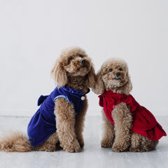 Velvet Charme | Cappottino di Velluto Blu con Fiocco | Abbigliamento per Barboncini