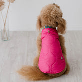 Piumino Chelsea Fucsia | Extra Light