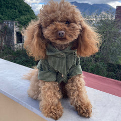 Camicia di Velluto | Eleganza e Confort per Barboncini