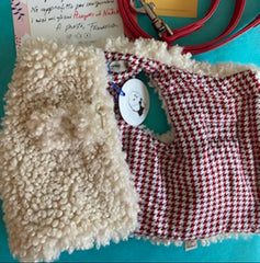 Pettorina Teddy per Cani - Design Morbido e Confortevole per Barboncino