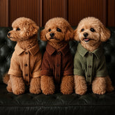 Camicia di Velluto | Eleganza e Confort per Barboncini