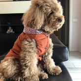 Giacca a Vento Ultra Light | Abbigliamento per Barboncino