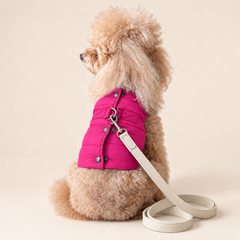 Pettorina Piumino per cani | Eleganza e Confort per Barboncini