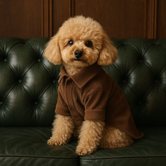 Camicia di Velluto | Eleganza e Confort per Barboncini