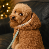 Cappottino Teddy con Cappuccio | per Barboncini