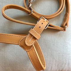 Camel leather harness
